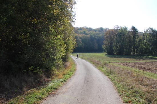 Wandererlebnis Gollachtal - Natur pur (Bild: Björn Neckermann)