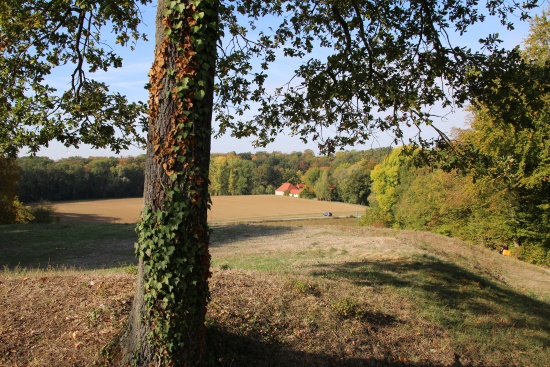 Wunderbare Landschaft - Romantik pur - das Gollachtal (Bild: Björn Neckermann)