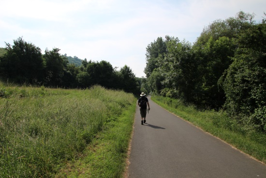 Wandern am Main - Naturgenuss - links die Weinberge - rechts der Fluss (Bild: Björn Neckermann)