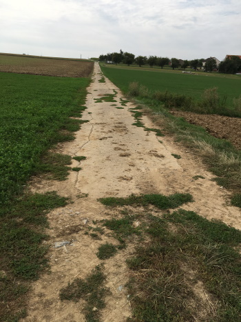 Der Feldweg geht in einen befestigten Wirtschaftsweg über (Bild: Björn Neckermann)