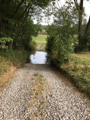 Die bekannte Wasserfurt unterhalb der Kunigundenkapelle (Bild: Björn Neckermann)