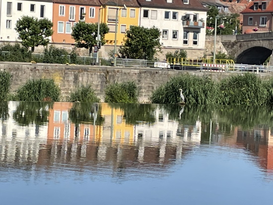 Grandiose Natur inmitten der Großstadt Würzburg (Bild: © Björn Neckermann)