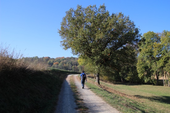 Auf dem Weg zur Kunigundenkapelle (Bild: Björn Neckermann) Auf dem Weg zur Kunigundenkapelle (Bild: Björn Neckermann)