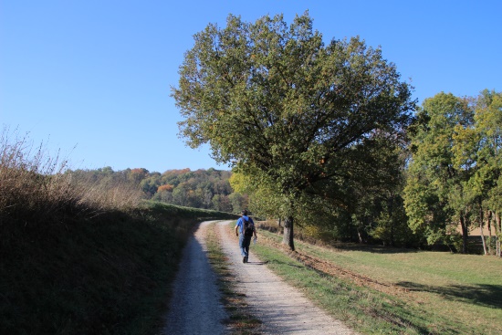 Auf dem Weg zur Kunigundenkapelle (Bild: Björn Neckermann)