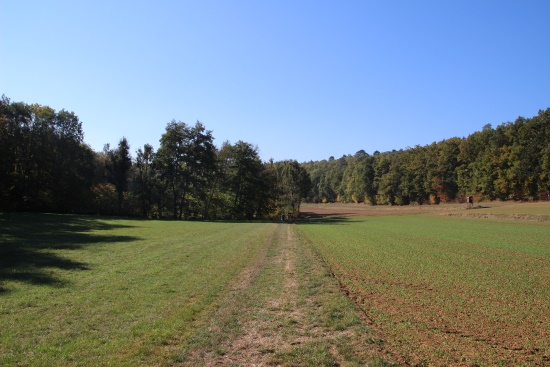 Auf Wiesenweg weiter dann nach rechts hinauf zum Waldrand (Bild: Björn Neckermann)