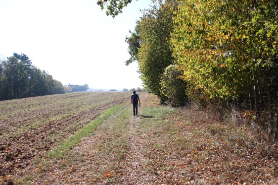 Wenn Sie aus dem Wald heraustreten, würden wir uns freunen, wenn Sie sich im Briefkasten eintragen würden (Bild: Björn Neckermann)