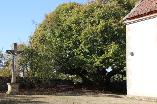 Im Mittelalter war dies der Friedhof für die umliegenden Dörfer (Bild: Björn Neckermann) Im Mittelalter war dies der Friedhof für die umliegenden Dörfer (Bild: Björn Neckermann)