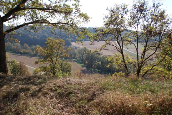 Blick vom "Alten Berg" hinunter in das Gollachtal (Bild: Björn Neckermann) Blick vom "Alten Berg" hinunter in das Gollachtal (Bild: Björn Neckermann)