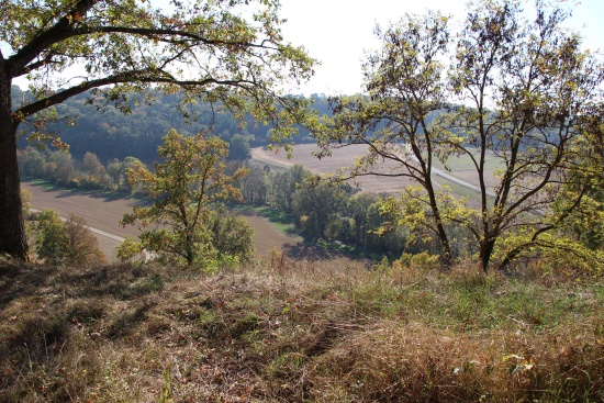 Blick vom "Alten Berg" hinunter in das Gollachtal (Bild: Björn Neckermann)