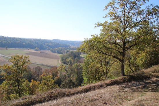 Wunderbares Gollachtal (Bild: Björn Neckermann)