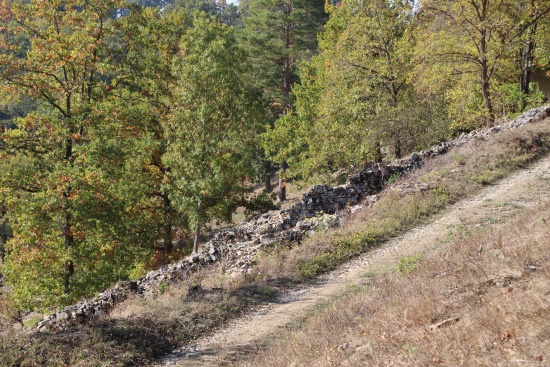 Ehemalige Weinbergsmauern und Trockenhänge mit eigener Flora und Fauna (Bild: Björn Neckermann)