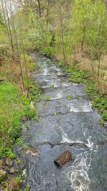 Tolle Umweltarbeit - die Stepenitz mit Fischtreppen (Bild: © Fario e.V.)