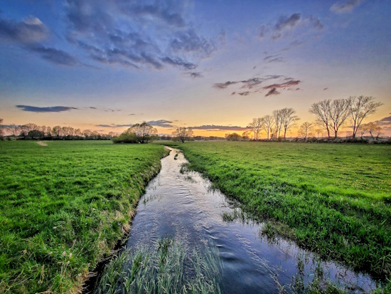 Abendstimmung an der Dömnitz - Nebenfluss der Stepenitz (Bild: © Fario e.V.)