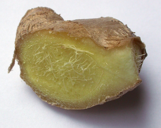 Ingwer Rhizom - Querschnitt (Bild: © Studienkreis Klostermedizin)