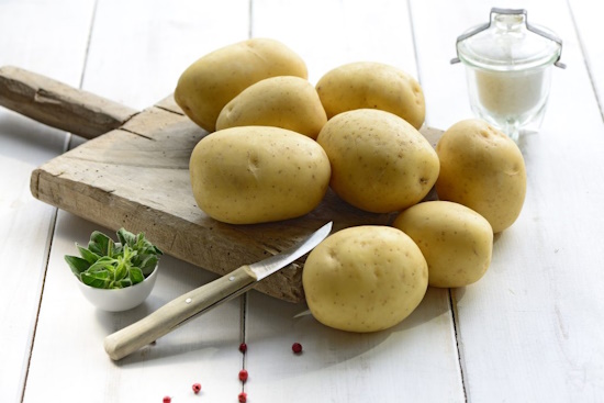 Die Kartoffelsorte "Leyla" ist die Kartoffel des Jahres 2024 (Aufnahme: © EUROPLANT-Pflanzenzucht GmbH)