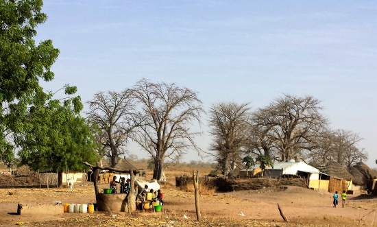 Koungheul Village Projekt (Bild: Naturfreunde Senegal) Koungheul Village Projekt (Bild: Naturfreunde Senegal)
