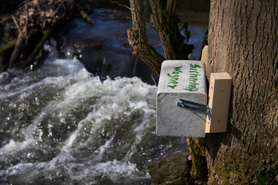 Wasseramsel-Nistkasten - Gollach - um der Art zu helfen (Bild: © Michael Schiller)