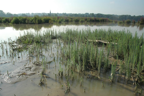 Landform am Unteren Inn bei Kirchdorf am Inn, Österreich, oder Bad Füssing in Bayern (Bild: © VDST / Silke Oldorff)