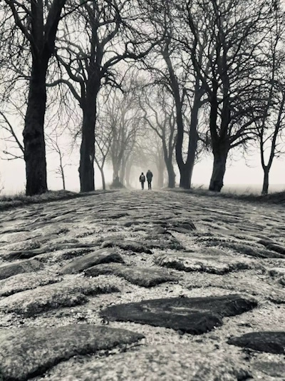 Allee des Jahres 2024 - Platz 3. - Rosskastanien-Allee zwischen Klein- und Groß Flotow (Bild: © Lydia Hübenthal) Allee des Jahres 2024 - Platz 3. - Rosskastanien-Allee zwischen Klein- und Groß Flotow (Bild: © Lydia Hübenthal)