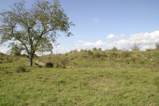 Hier trafen wir immer wieder auf abgebrannte Flächen (Bild: Thomas Langhirt)