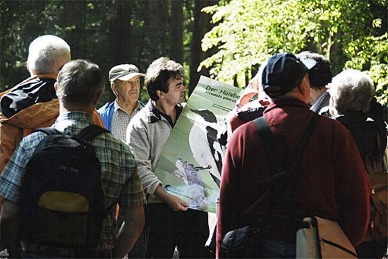 Der Eichhall und seine Bewohner - hier der Halsbandschnäpper (Bild: Thomas Langhirt) Der Eichhall und seine Bewohner - hier der Halsbandschnäpper (Bild: Thomas Langhirt)