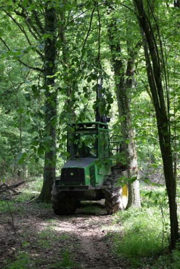 Zeit ist Geld - es muss schnell gearbeitet werden - die Natur ist dabei zweitrangig (Bild: Thomas Langhirt)