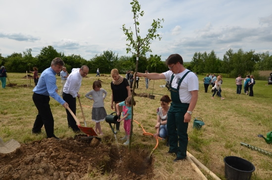 Die Geschäftsführung, hier Herr Salein, pflanzte ebenso einen Baum ein, wie alle anderen (Bild: Fa.Kneipp)