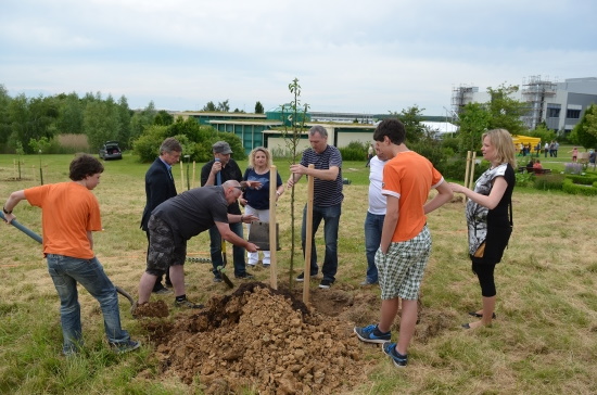 In zwei, drei Jahren werden die Bäume erste Früchte tragen (Bild: Fa. Kneipp)