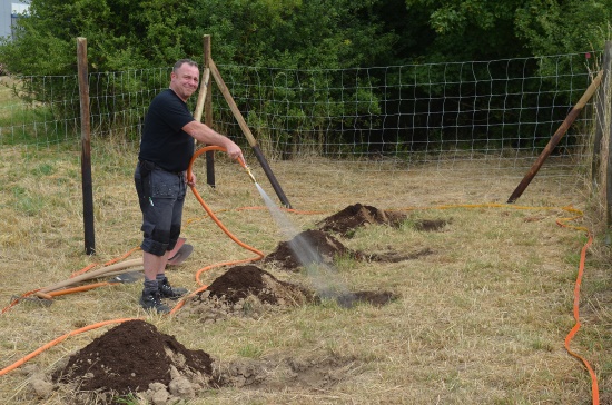 Zwanzig Pflanzen sollen hier eine Lücke zwischen zwei Heckenverbünden schließen (Bild: Fa. Kneipp, Ochsenfurt)