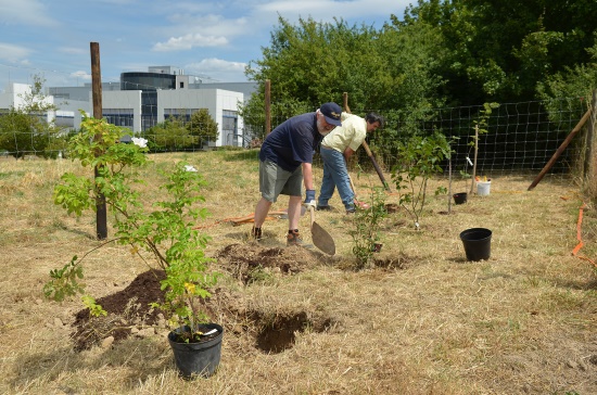 Wir alle arbeiten ehrenamtlich für unsere Natur - es lohnt sich (Bild: Fa. Kneipp, Ochsenfurt)