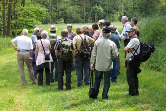 Thomas Langhirt und Bernhard Neckermann erklären Pflanzen und Insekten - ebenso das Ornithologische (Bild: Thomas Langhirt)