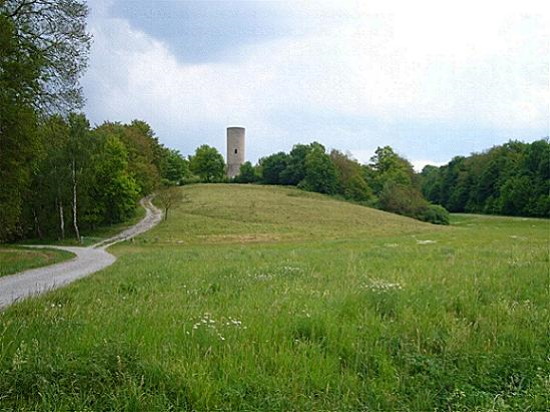 Ein letzter Blick zurück hinauf zur Burgruine (Bild: Gerhard Guckelsberger)