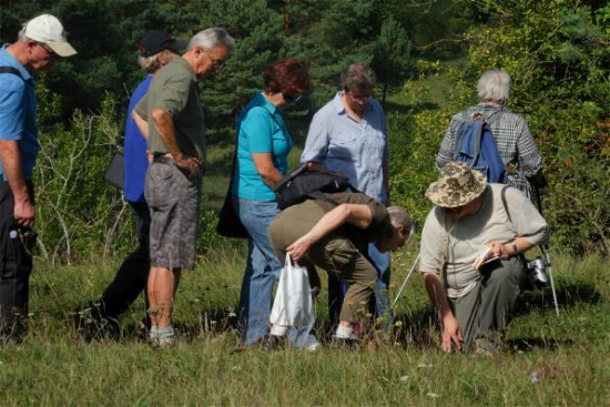 Den Ödlandschrecken auf der Spur (Bild: Michael Schiller)