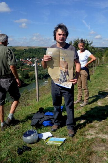 Die Turmfalken - Mitbewohner in unseren Städten und Gemeinden liegen ihm besonders am Herzen (Bild: Michael Schiller)