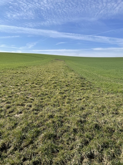 Diese Aufnahme habe ich auf den Titel getauft: "Und hinter dem Horizont geht es so weiter!" (Bild: © Neckermann)