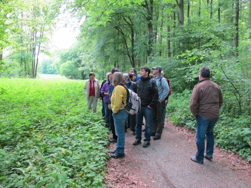 Konzert am frühen Morgen kostenlos - am Waldrand die Singdrossel am Bach die Nachtigall (Bild: Simon Wagner)