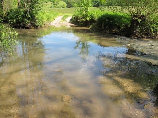 Die Gollachfurt ein seichter Übergang zu den Wiesen unterhalb der Kunigundenkapelle (Bild: Simon Wagner)