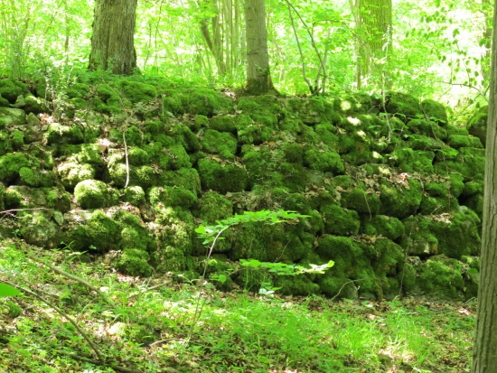 Hier stand wohl eine alte Hammerschmiede - viele Sagen ranken sich um diesen geheimnisvollen Ort (Bild: Simon Wagner)