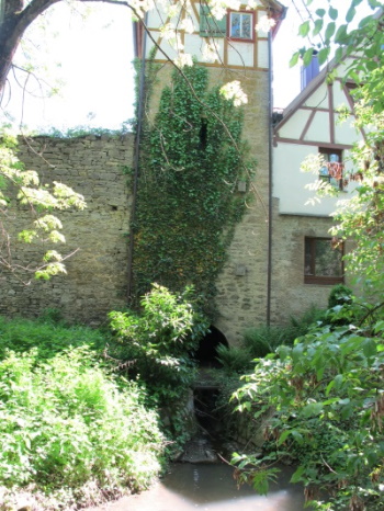 Eine der schönsten Stellen entlang der nördlichen Stadtmauer (Bild: Simon Wagner) Eine der schönsten Stellen entlang der nördlichen Stadtmauer (Bild: Simon Wagner)
