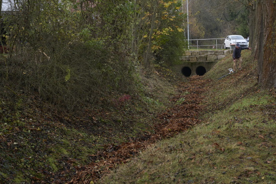 Im Graben wurden Blätterhaufen angehäuft um das Laub besser abtransportieren zu können (Bild: © Michael Schiller)