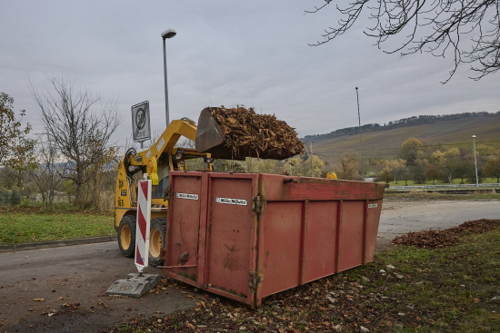 Der Anfall der Laubmenge ist manchmal so riesig, dass man einen zweiten Container benötigt (Bild: © Michael Schiller)