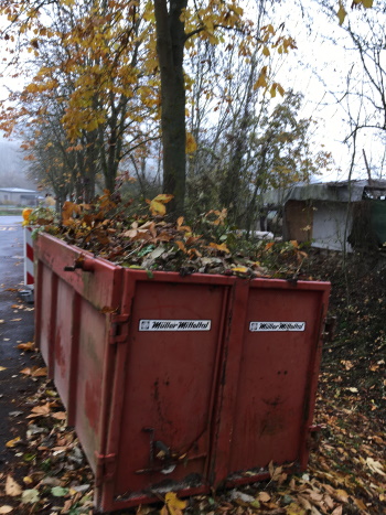 Der Container ist nach Abschluss der Umweltaktion, bis oben hin mit Laub gefüllt (Bild: © Michael Schiller)