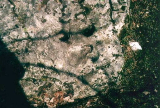 Unterhalb der Kunigundenkapelle liegt ein großer Findling - der Kunigundenstein (Bild: Neckermann)