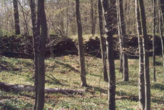 Eine historische Stätte im Bauernkrieg - die Teufelsschmiede (Bild: Neckermann)