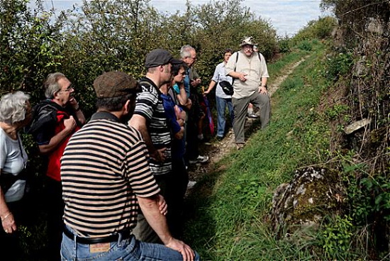 Leben an und in der Trockensteinmauer (Bild: Michael Schiller)