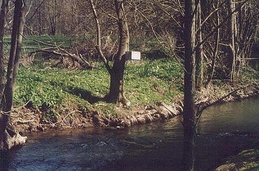 Wasseramselkasten an der Gollach (Bild: Björn Neckermann)
