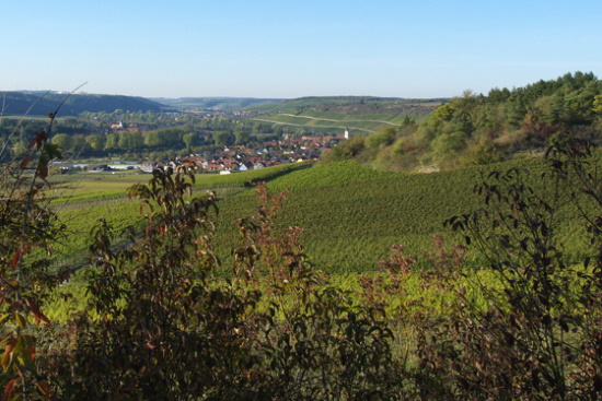 Einmalige und abwechslungsreiche Landschaft - die Maintalhöhen (Bild: Thomas Langhirt)