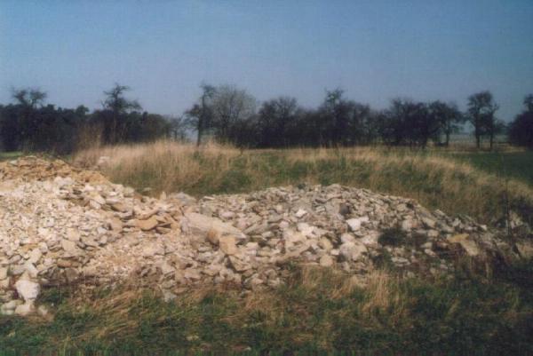 Entlang meines HW4-Wegewartgebietes, unterhalb der Kunigundenkapelle, im Gollachtal kann dies ganz besonders betrachtet werden (Bild: Björn Neckermann)