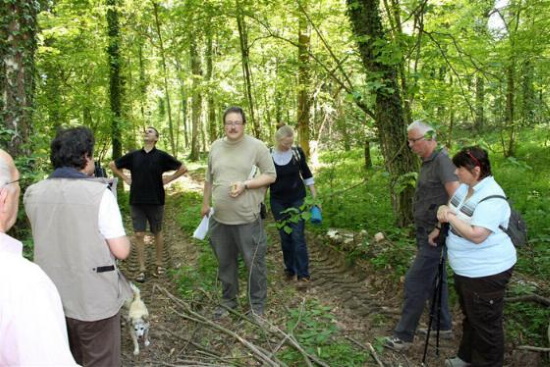 Viele Teilnehmer sind entsetzt über diese Naturzerstörung (Bild: Dieter Hirth)