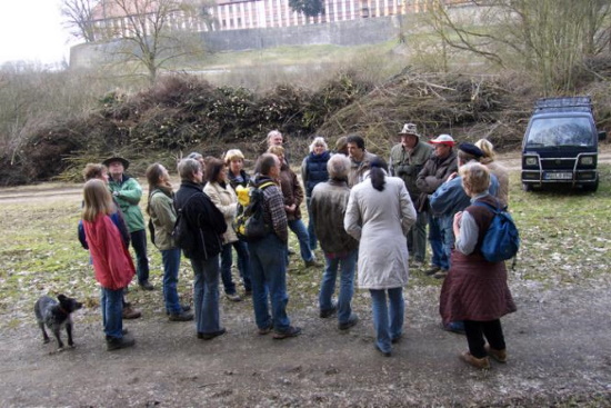 Der Märzenbecherwald bei Tückelhausen (Bild: Thomas Langhirt)